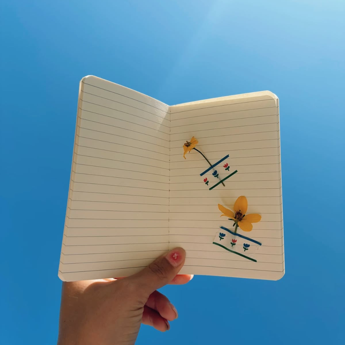 The Garden journal